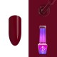 Molly Lac Elite Women 41 5ml