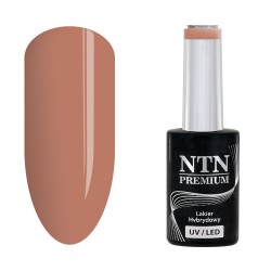 NTN Premium 013 Topless 5g