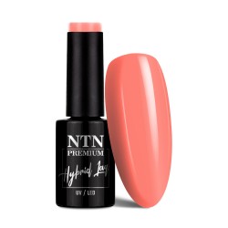 NTN Premium 152 Delight Sorbet 5g