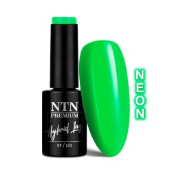 NTN Premium 146 Delight Sorbet 5g